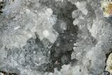 Las Choyas Coconut Geode Half with Quartz & Chalcedony - Mexico #165581-1